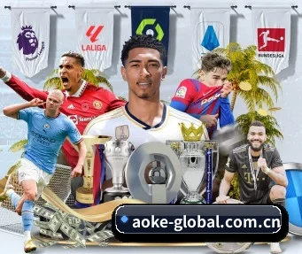 aoke-global.com.cn APP